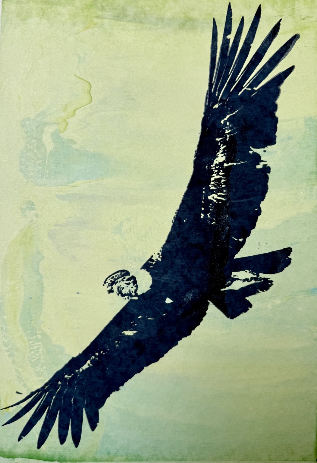 Taking Flight