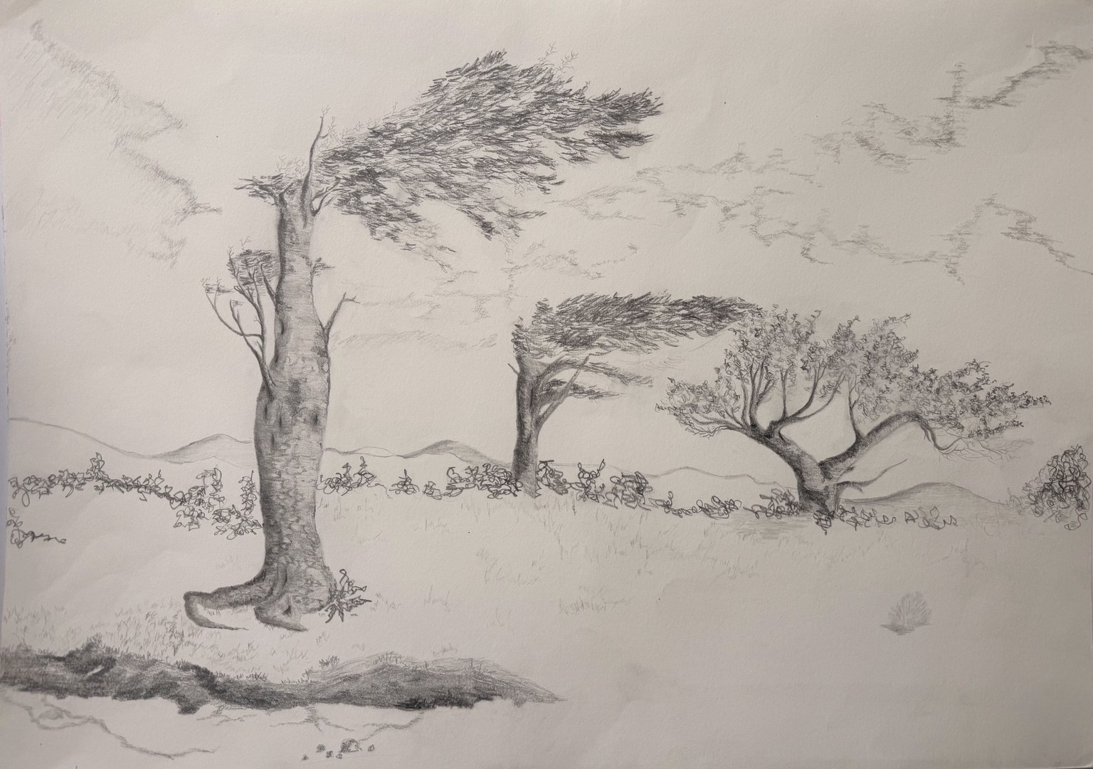 Early pencil drawing by Juana Guzman