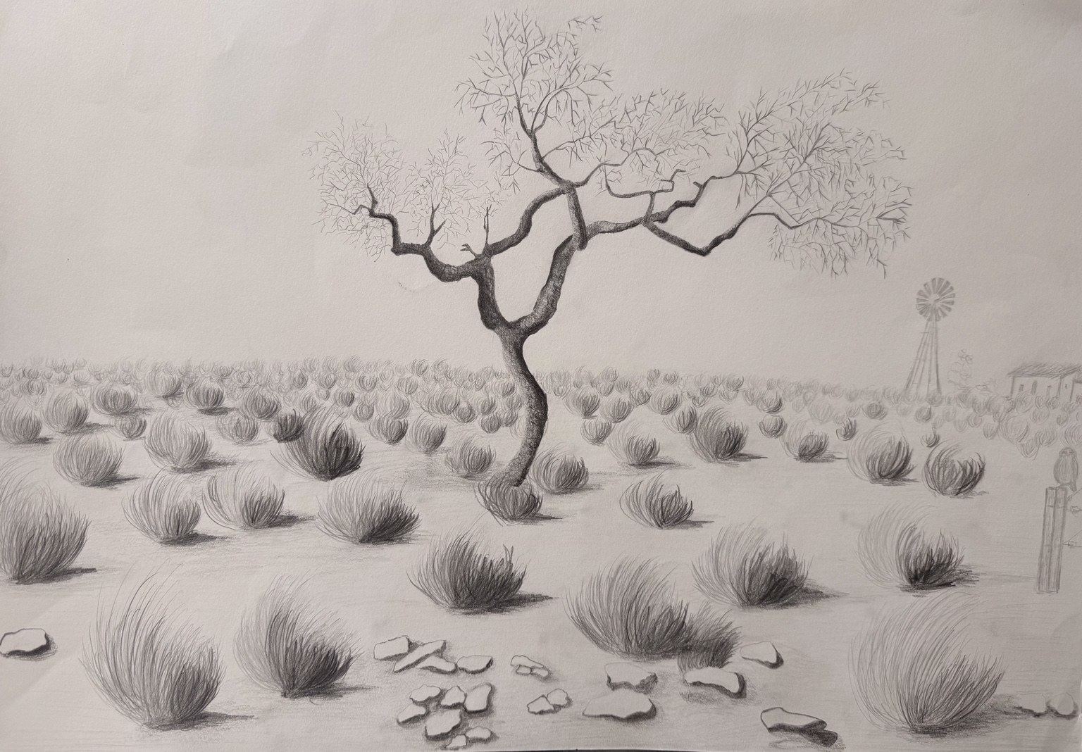 Early pencil drawing by Juana Guzman