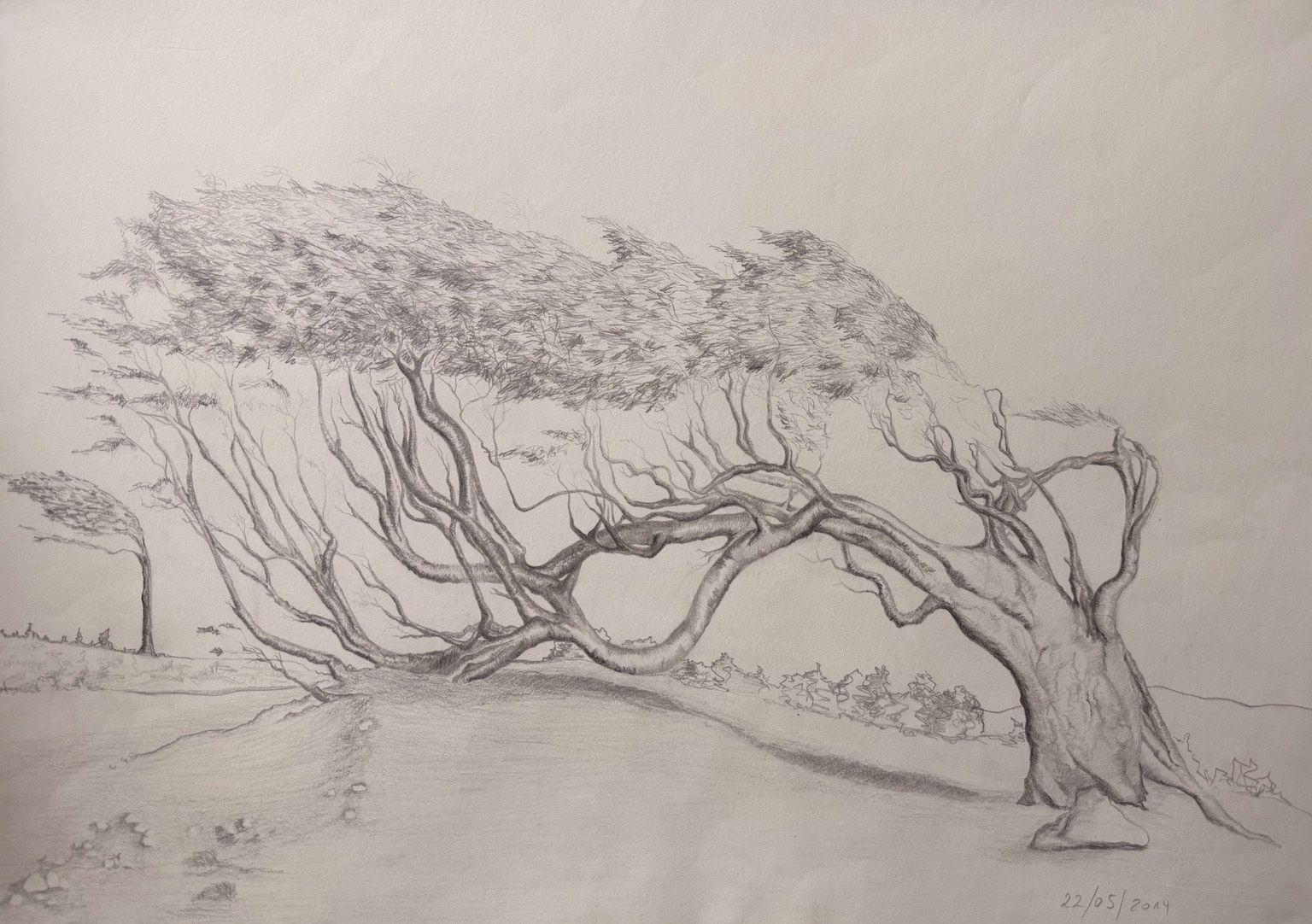 Early pencil drawing by Juana Guzman