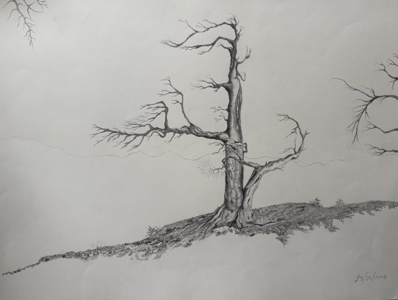 Early pencil drawing by Juana Guzman